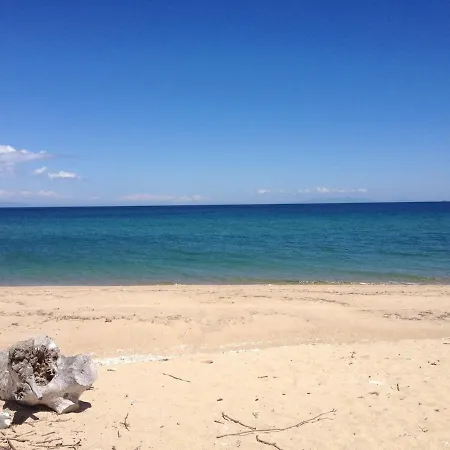 Relaxing House 50 M From The Coast! *